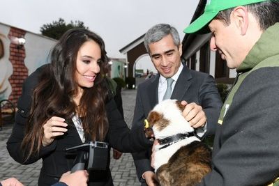 Вице-президент Фонда Гейдара Алиева Лейла Алиева открыла в поселке Балаханы Центр заботы о бездомных собаках &quot;Топлан&quot; 