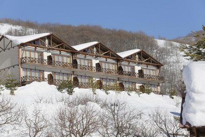 Французский турист, попавший под снежную массу в горах Армении, погиб