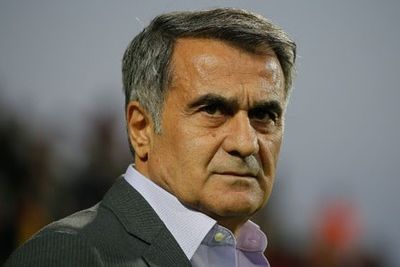 Сборную Турции по футболу возглавит Шенол Гюнеш