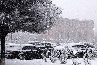 Армению завалило снегом