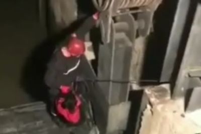 Спасатели достали собаку из механизма плотины в Кутаиси