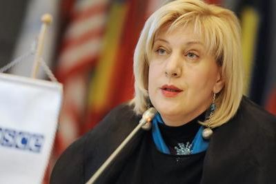 Комиссар Совета Европы по правам человека посетит Крым