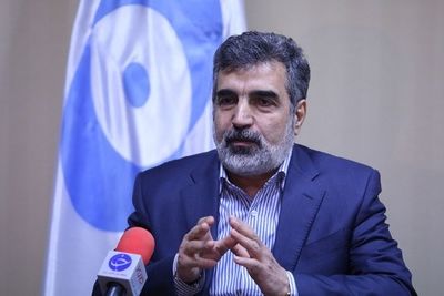Камальванди: Иран не намерен продлевать срок для участников СВПД