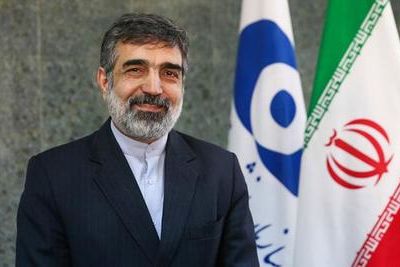 Камальванди: Тегеран готов достигнуть 20% обогащения урана 