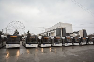 Донские власти поднимают тариф на проезд в городском транспорте