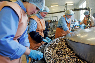 В Дагестане создадут высокотехнологичный завод по переработке рыбы 
