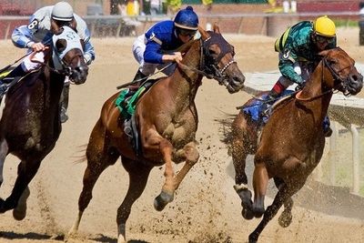 Бахмаро примет традиционные конные скачки 19 августа