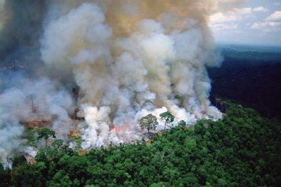 Огонь уничтожает леса Амазонки