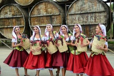 В шамахинском Мейсери открылся первый азербайджанский фестиваль винограда и вина