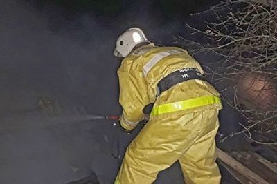 Пожар в Сакском районе Крыма уничтожил два гектара растительности
