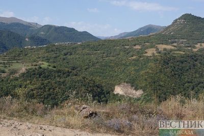 Стало известно, сколько земель заражено саранчой в Дагестане