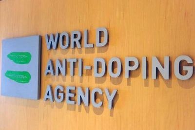 WADA дало добро на перенос чемпионата мира по самбо из Москвы