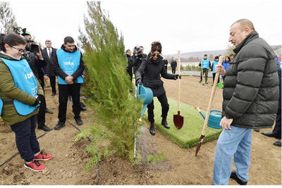 Ильхам Алиев и Мехрибан Алиева приняли участие в акции по посадке деревьев в Шемахинском районе