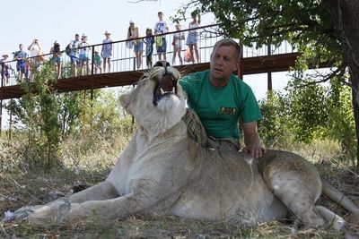 Крымский парк львов &quot;Тайган&quot; закрывают во второй раз