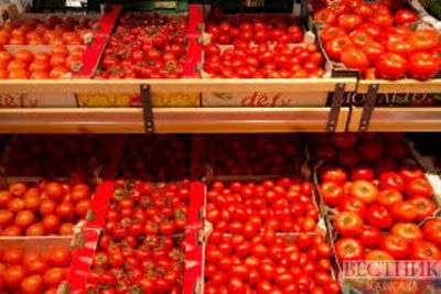Астраханских томатов будет больше