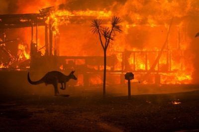 Принц Уильям и Кейт Миддлтон посетят районы пожаров в Австралии
