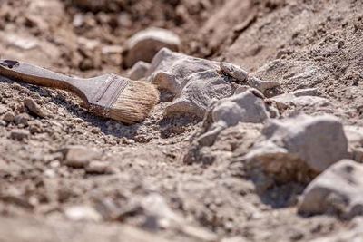 Археологи изучат аланское городище Гунделен-2 в КБР