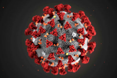 Коронавирус может заразить минимум треть населения Земли - эксперт ВОЗ