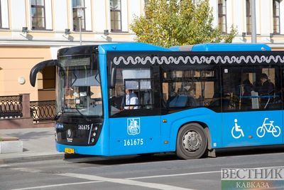 Глава Симферополя раскритиковала работу городского общественного транспорта