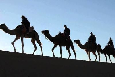 Сарадж спасает верблюдов из Триполи