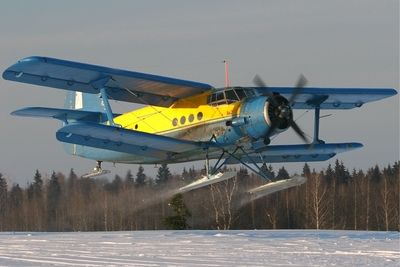 Под Усть-Каменогорском аварийно сел самолет Ан-2 (ВИДЕО)