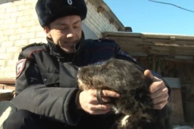 Участковый поймал живодера и спас пса на Ставрополье (ВИДЕО)