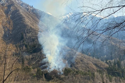Гора Мохнатка пылала в Алматы 