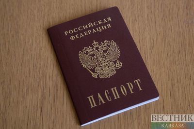В 2,5 раза выросло число людей, получивших гражданство России