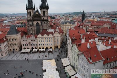 В Чехии до конца февраля объявили режим ЧС