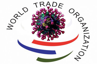 ВТО: мировая торговля существенно пострадала из-за пандемии