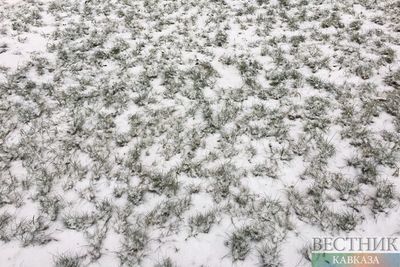 В России выпал первый в сезоне снег