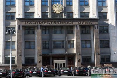 Комитет Госдумы по законодательству поддержал законопроекты о приоритете Конституции 