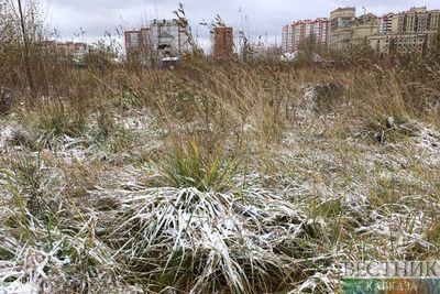 Заморозки ожидаются в выходные в Центральной России