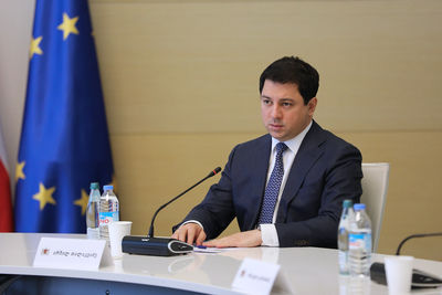 Спикер грузинского парламента провел онлайн-встречу с соотечественниками в Италии, Испании и Греции