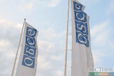 ОБСЕ рекомендовала отменить результаты выборов в Белоруссии