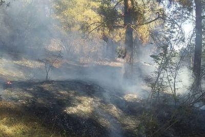 Азербайджанские спасатели потушили лесной пожар в Геранбое, вспыхнувший из-за армянских артобстрелов 