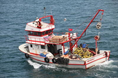 Греческий танкер протаранил турецкий рыболовный катер - СМИ