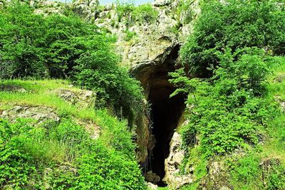 Минкультуры Азербайджана призвало дать правовую оценку незаконным археологическим раскопкам в Азыхской пещере
