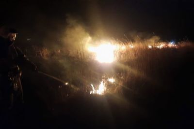 Кубанским огнеборцам пришлось до утра тушить пожар в плавнях под Темрюком