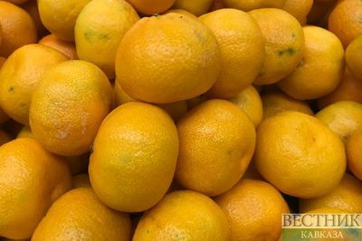 Грузия нарастила экспорт мандаринов на 25%