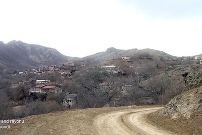 Вот как выглядит освобожденное село Бине (ФОТО, ВИДЕО)