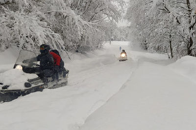 Снегопад завалил Озургети и Ланчхути