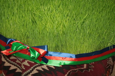 В павильоне &quot;Азербайджан&quot; на ВДНХ отпраздновали Новруз