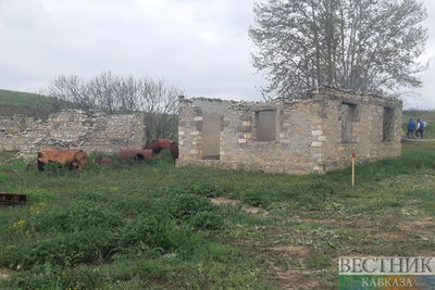 Экоцид в Карабахе. Репортаж с освобожденных земель