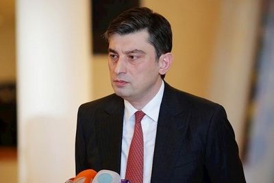 Гахария требует начать расследование против Кобахидзе 