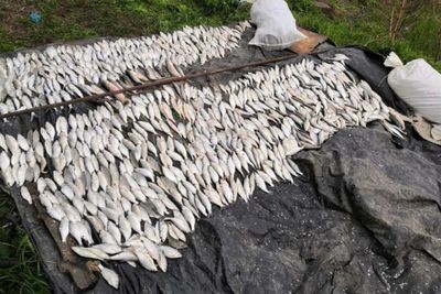 Двое браконьеров &quot;обчистили&quot; пруд рыбзавода в Адыгее