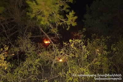 Заповедник горит на 7 тысячах кв м в Армении (ФОТО)