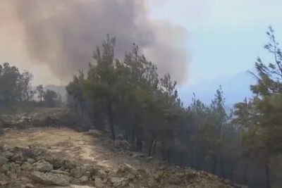 В Турции оценили ситуацию с лесными пожарами