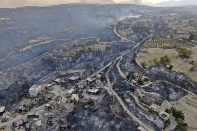Эрдоган: регионы Турции, пострадавшие от лесных пожаров, объявлены зоной бедствия