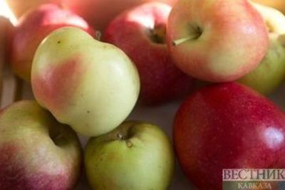 В Россию везли 20 тонн санкционных яблок из Польши